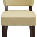 Abbildung stoel Damara Vorderansicht