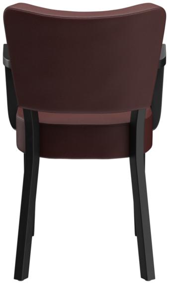Abbildung Fauteuil Damara Rückansicht