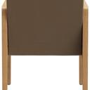 Abbildung Armstoel Paddy Rückansicht