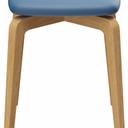 Abbildung Kruk Daya Seitenansicht